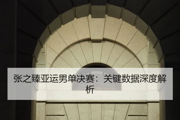 张之臻亚运男单决赛：关键数据深度解析